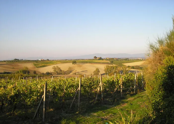 Tenuta Santagnese