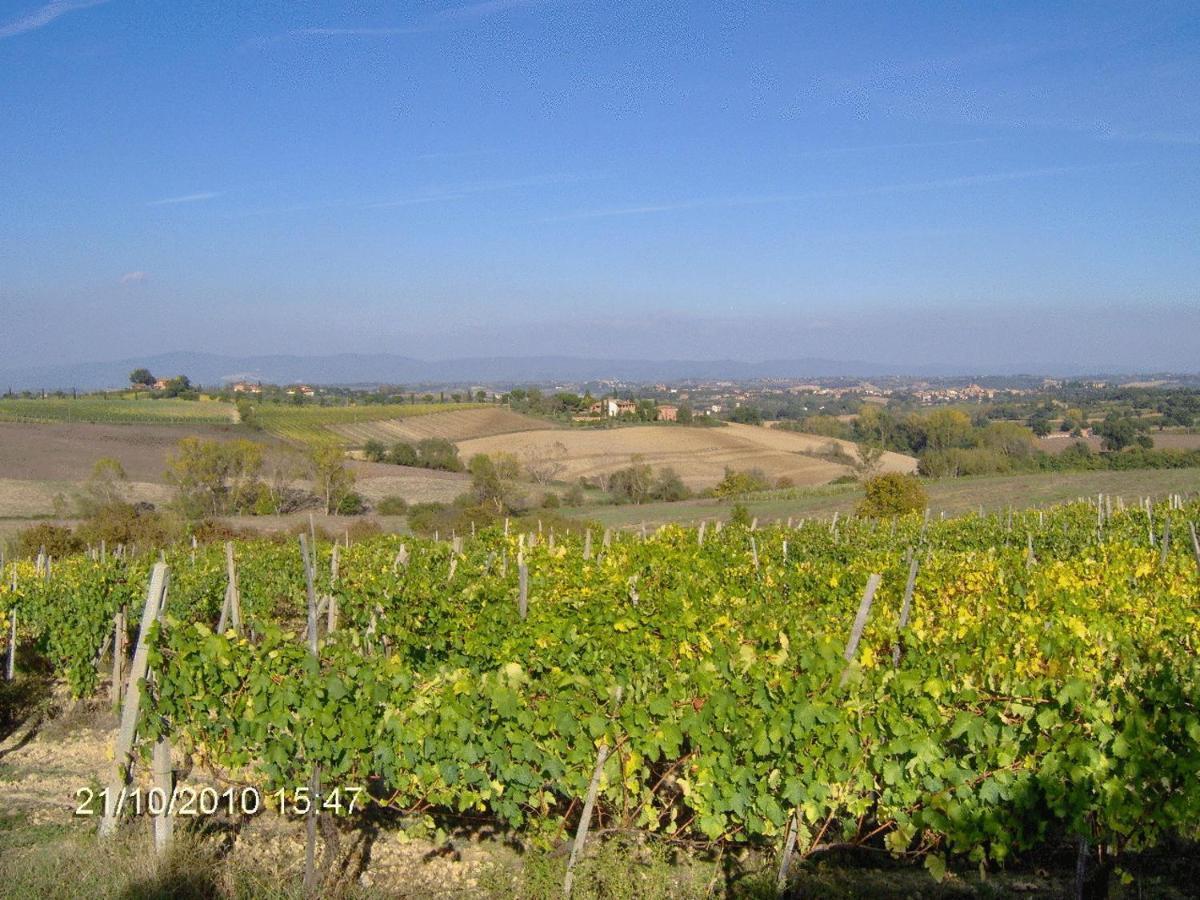 Alojamento de Turismo Rural Tenuta Santagnese