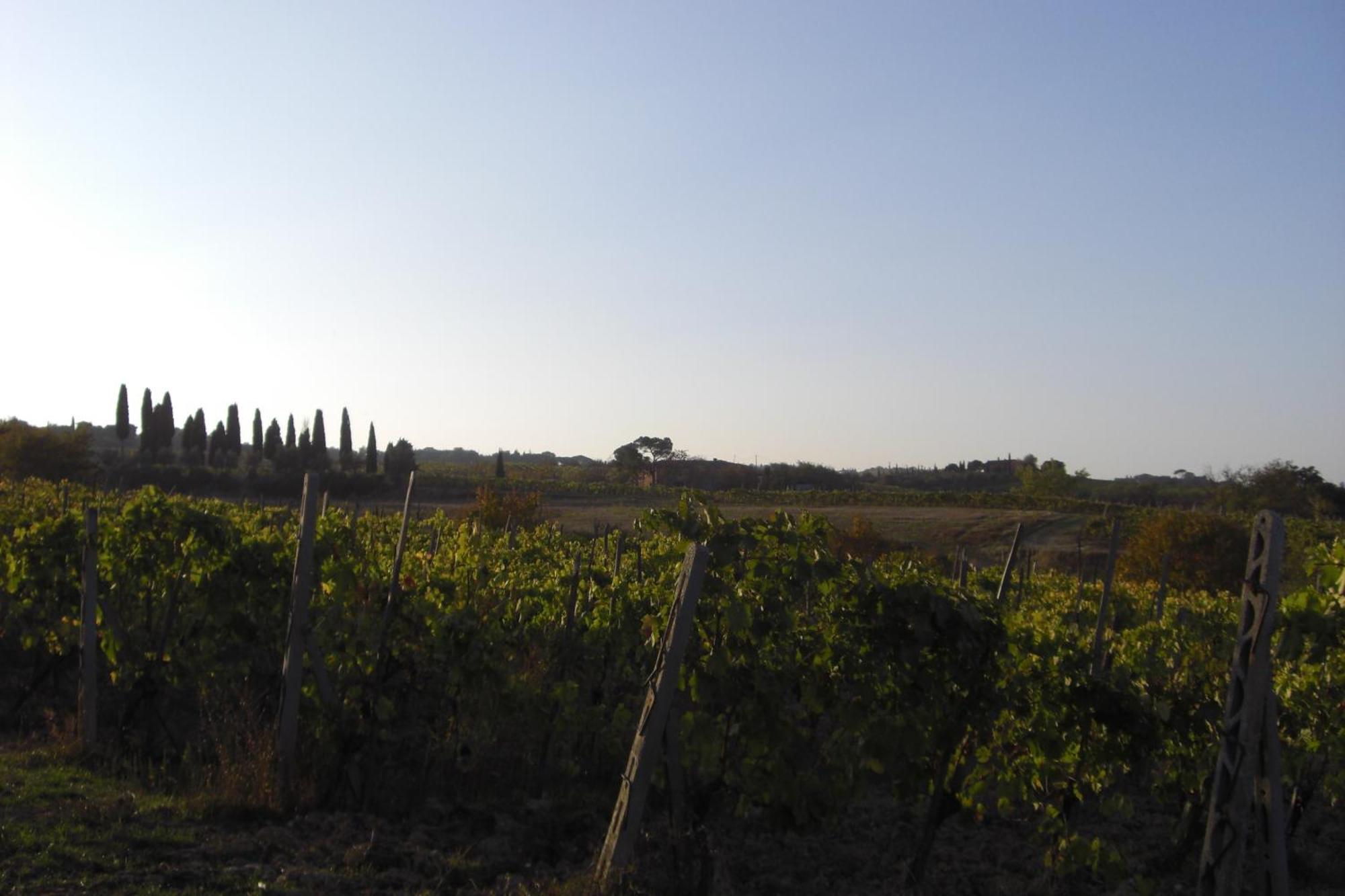 Tenuta Santagnese Montepulciano Stazione