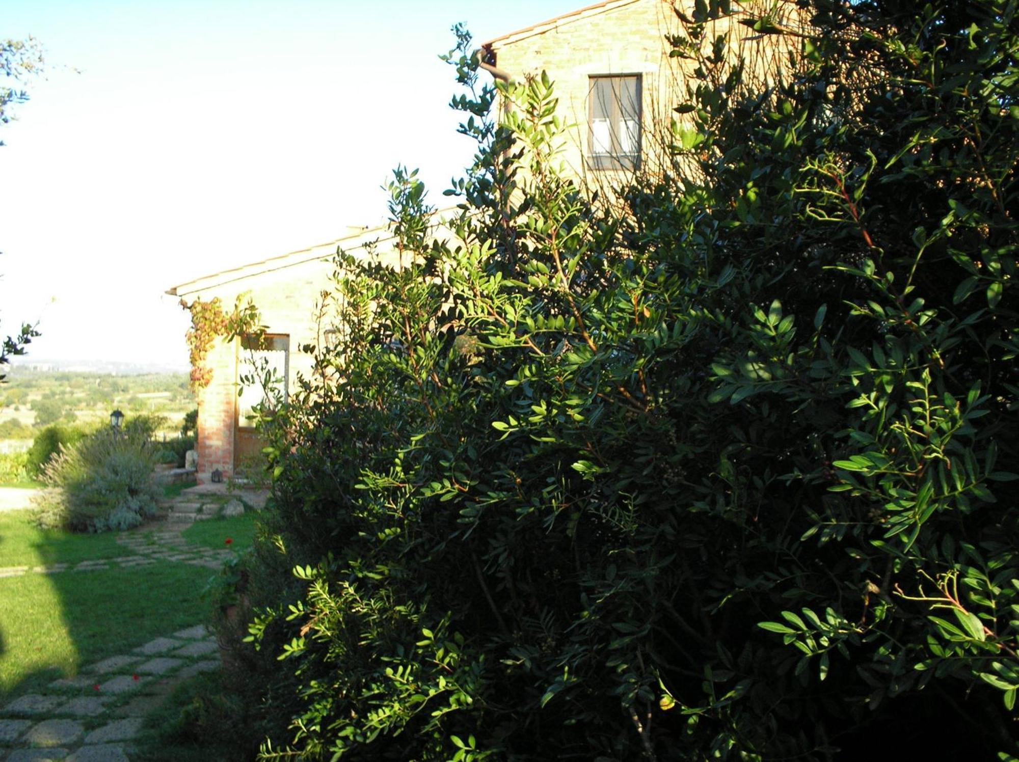 Alojamento de Turismo Rural Tenuta Santagnese